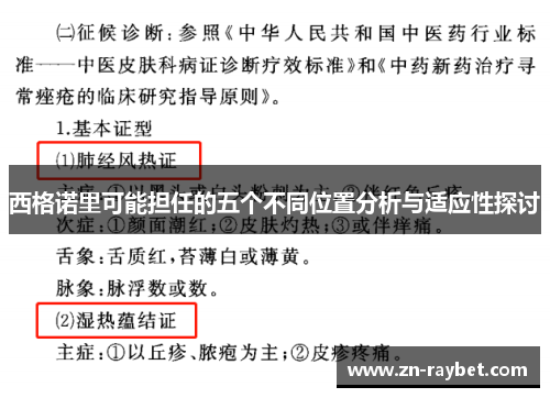 西格诺里可能担任的五个不同位置分析与适应性探讨