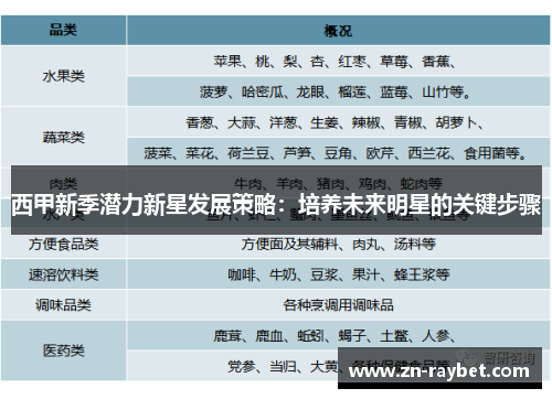 西甲新季潜力新星发展策略：培养未来明星的关键步骤