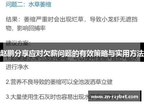 赵鹏分享应对欠薪问题的有效策略与实用方法