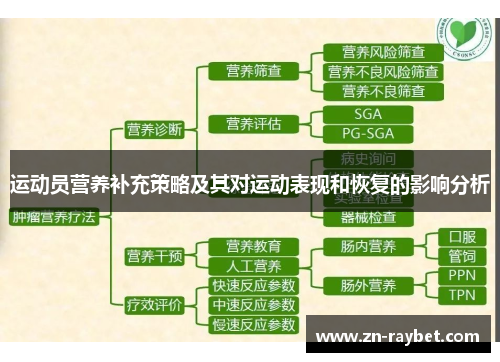 运动员营养补充策略及其对运动表现和恢复的影响分析