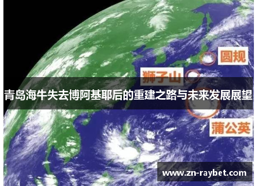 青岛海牛失去博阿基耶后的重建之路与未来发展展望